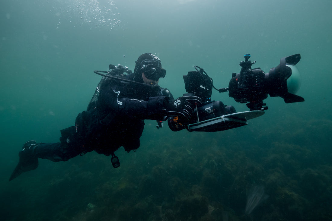 Unleashing the Explorer: EagleRoam and the Joy of Travel