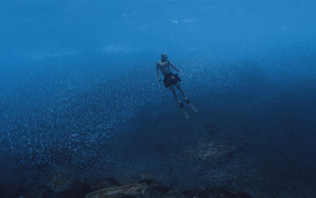 EagleRoam: Navigating the Future of Underwater Exploration