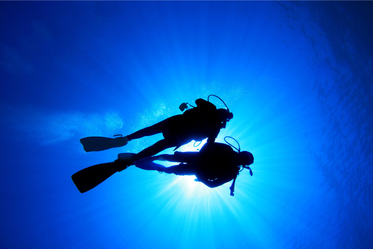 Dance of the Deep: The Silhouette of a Diver