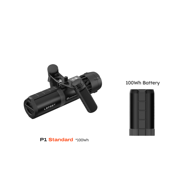 P1 Standard extra battery