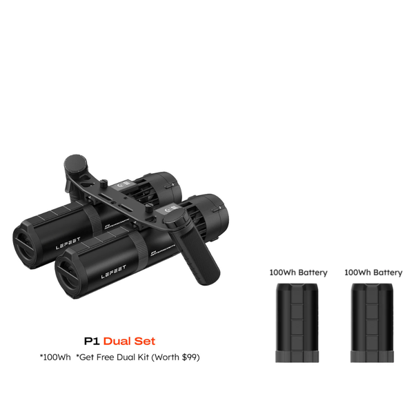 P1 Standard dual set extra battery