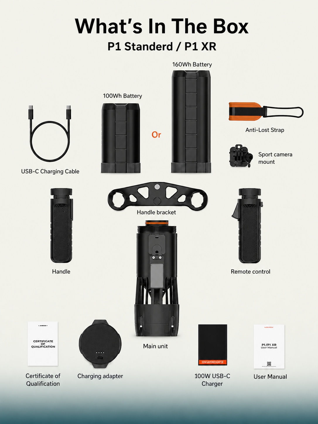 P1 dual-unit bundle with protective case