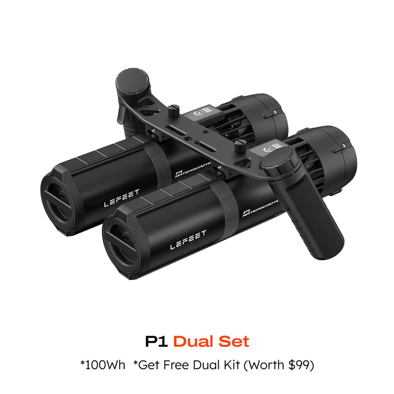 P1 Standard dual set