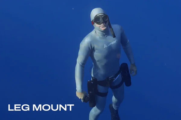 P1 Standard Leg Mount Mode