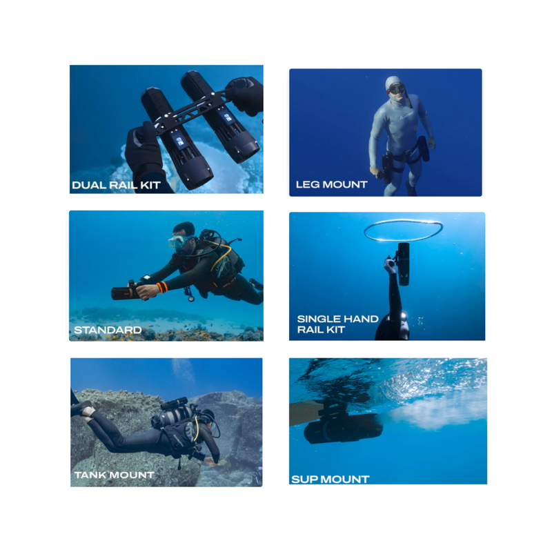 P1 Standard All model